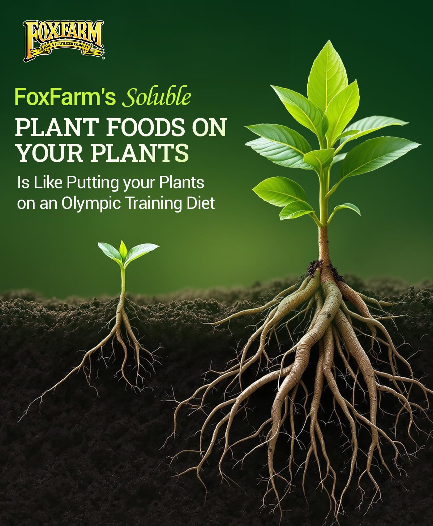 FoxFarm trio works in soil, soilless, hydroponics, and aeroponics for flexibility.