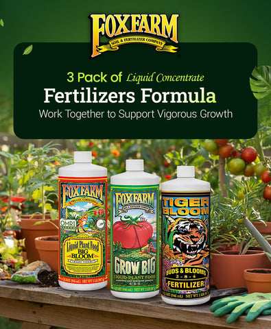 FoxFarm three quart bottles pack ready for ongoing garden feeding.