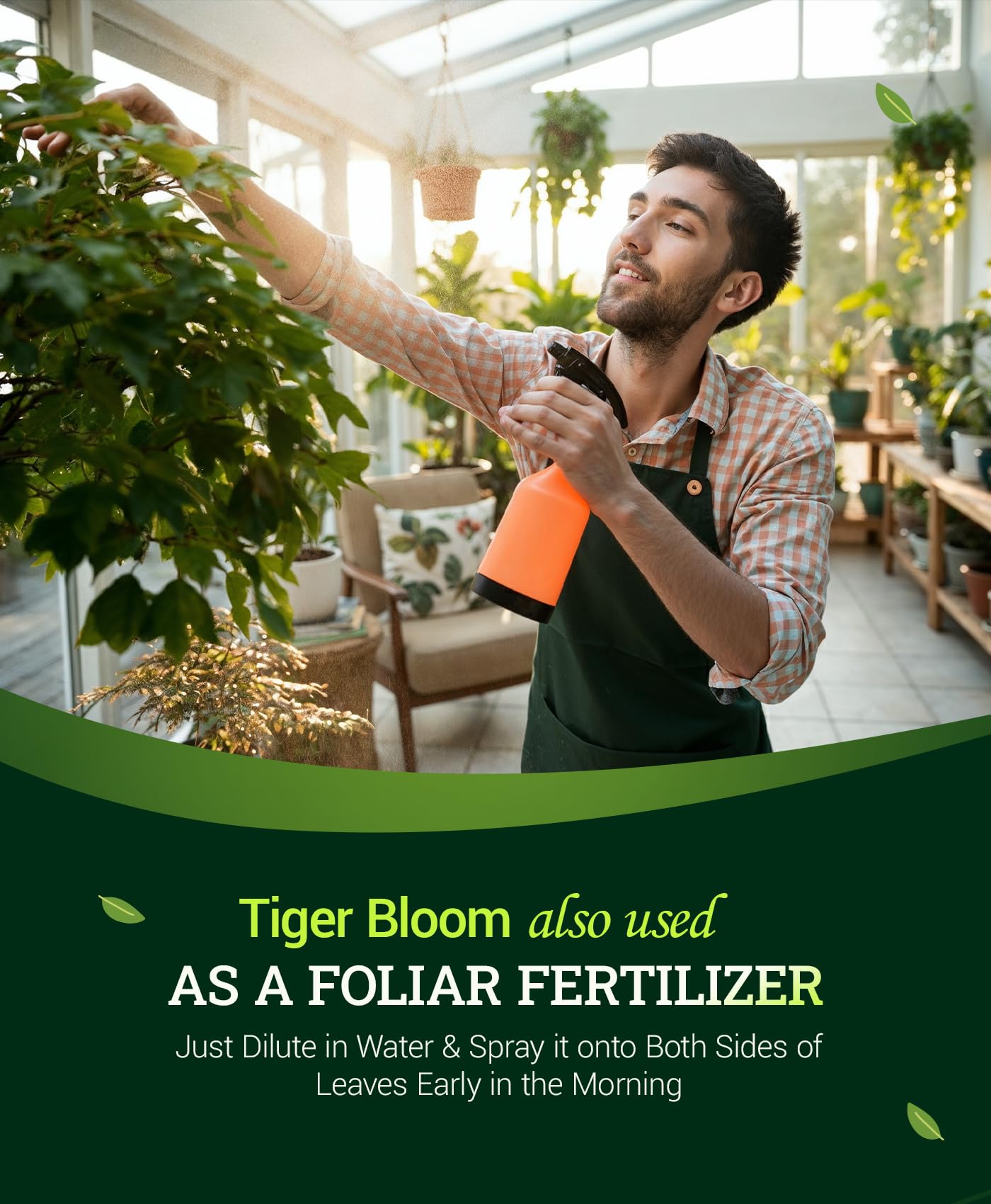 FoxFarm Tiger Bloom micronutrients balance during peak flowering for healthy growth