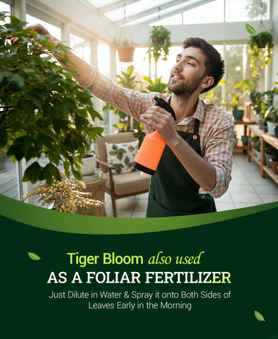 FoxFarm Tiger Bloom micronutrients balance during peak flowering for healthy growth