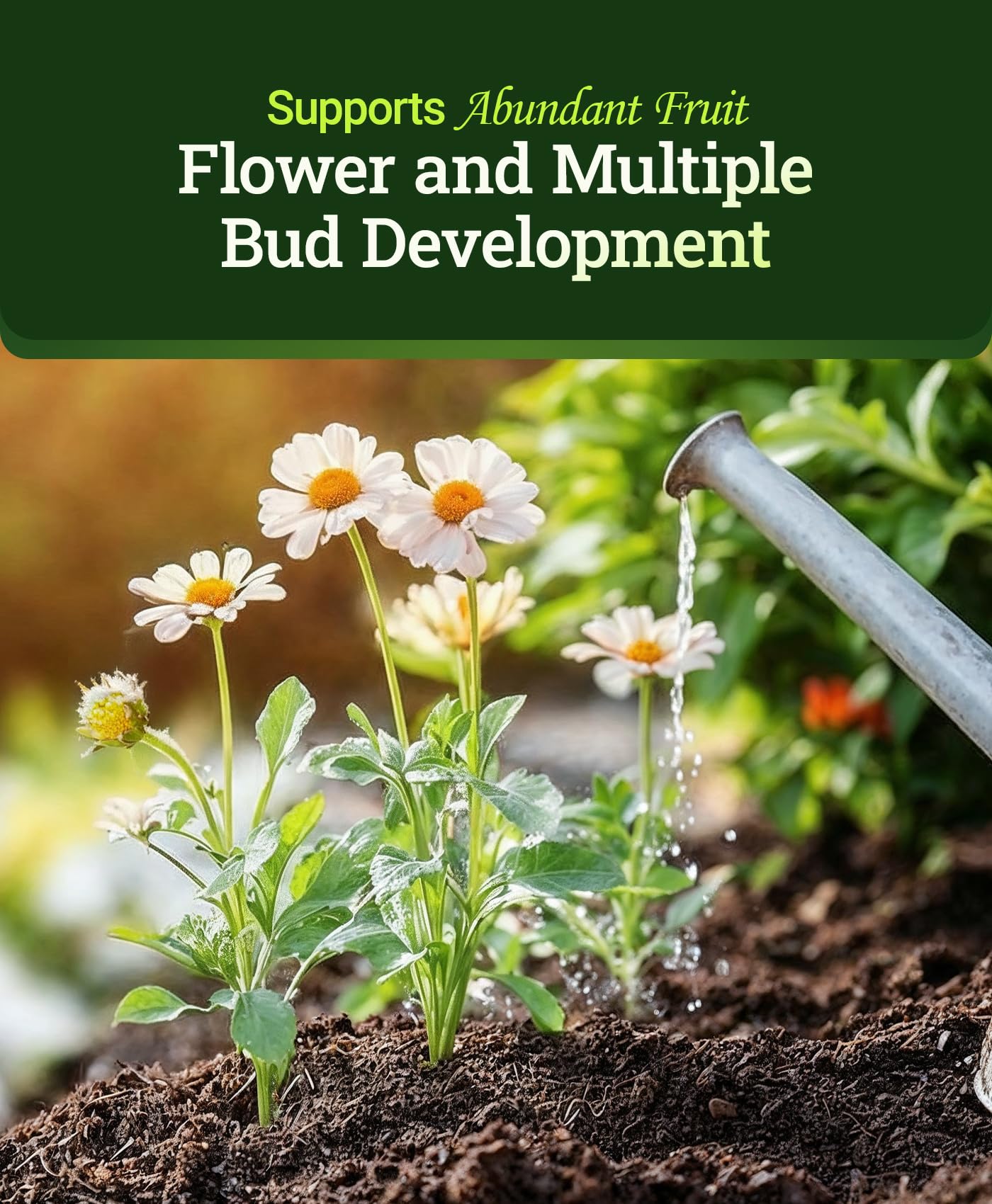 FoxFarm Tiger Bloom provides quick absorption for flowering stages