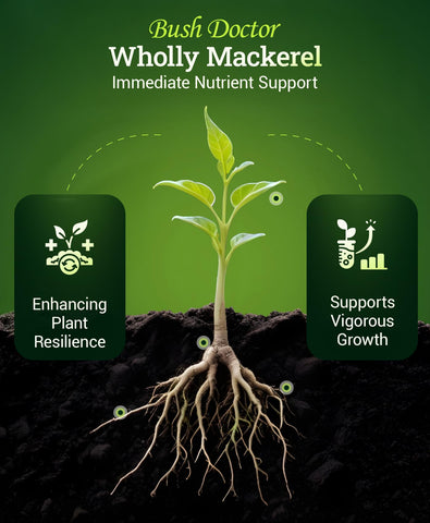 FoxFarm Wholly Mackerel fish emulsion drops highlight fast nutrient uptake