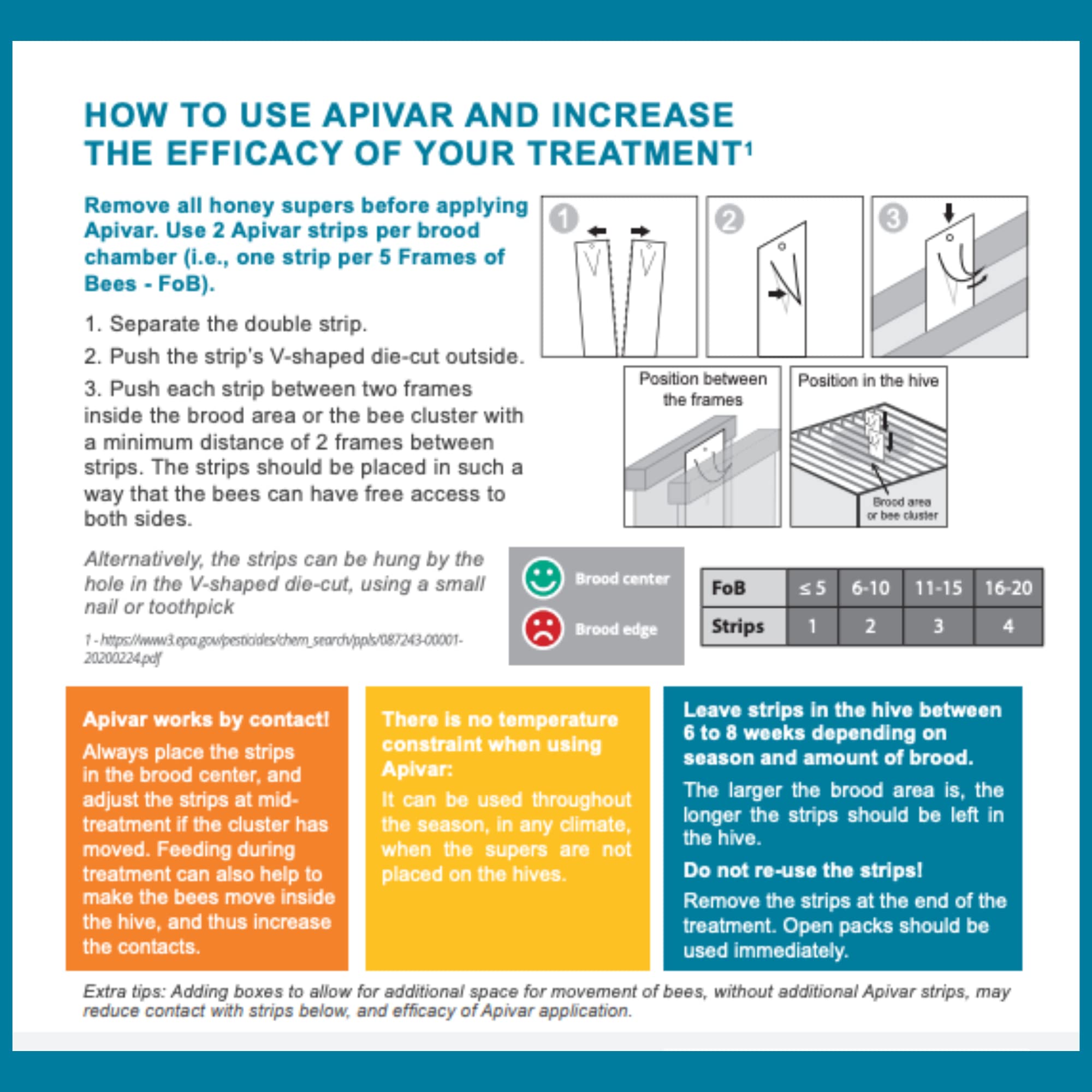 Foxhound Bee Company Apivar strip attached to a frame during treatment