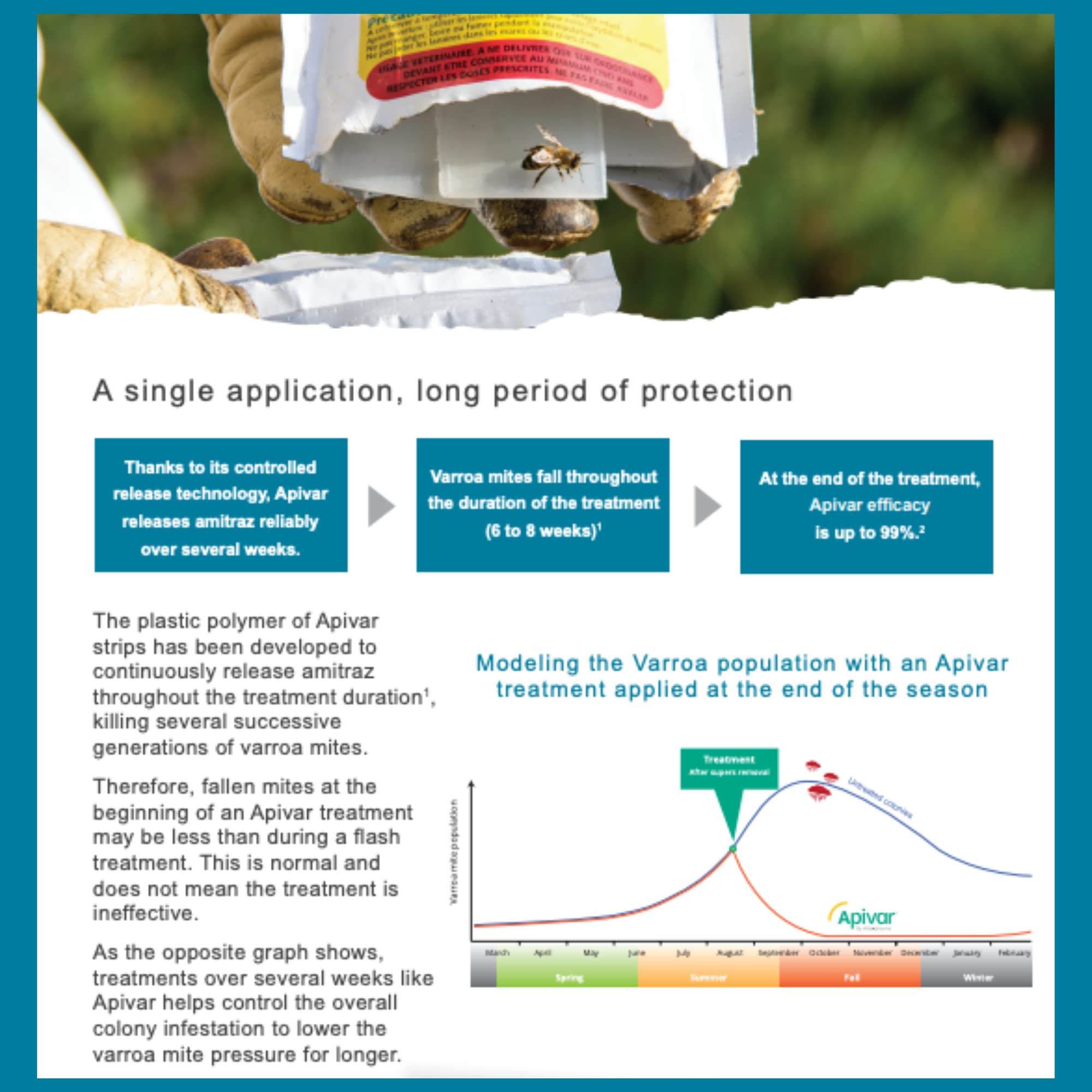 Foxhound Bee Company Apivar strip used with two strips per hive