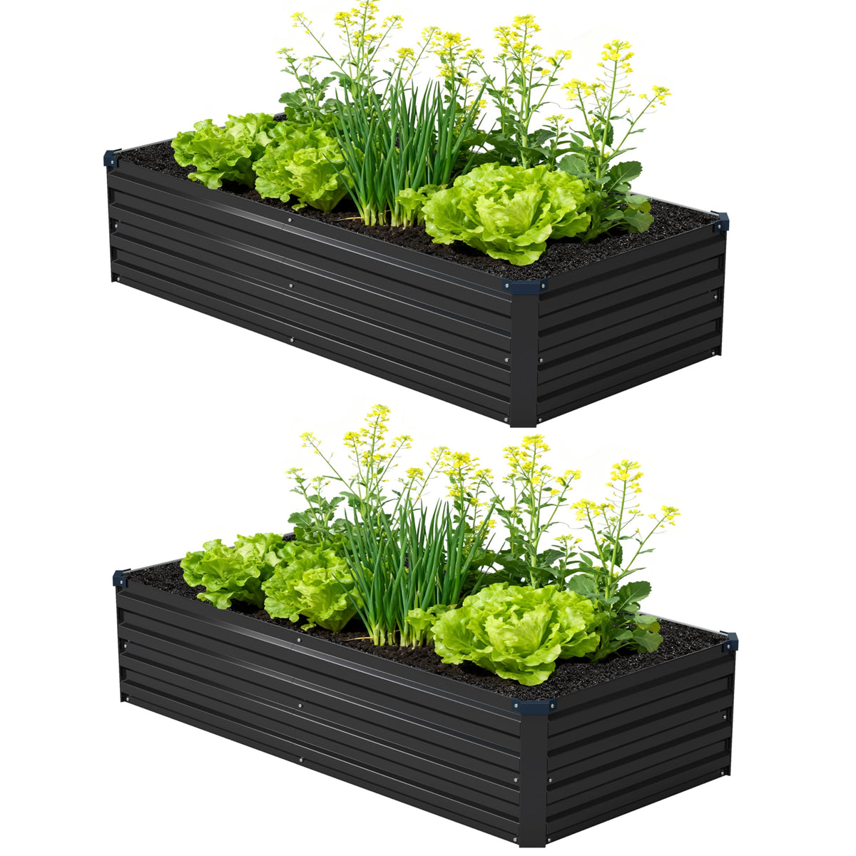 Foxlang assembled raised garden bed two-pack for vegetables and flowers