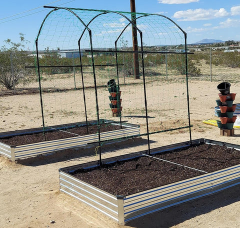 Deep 12-inch bed supports deep-rooted crops and herbs.