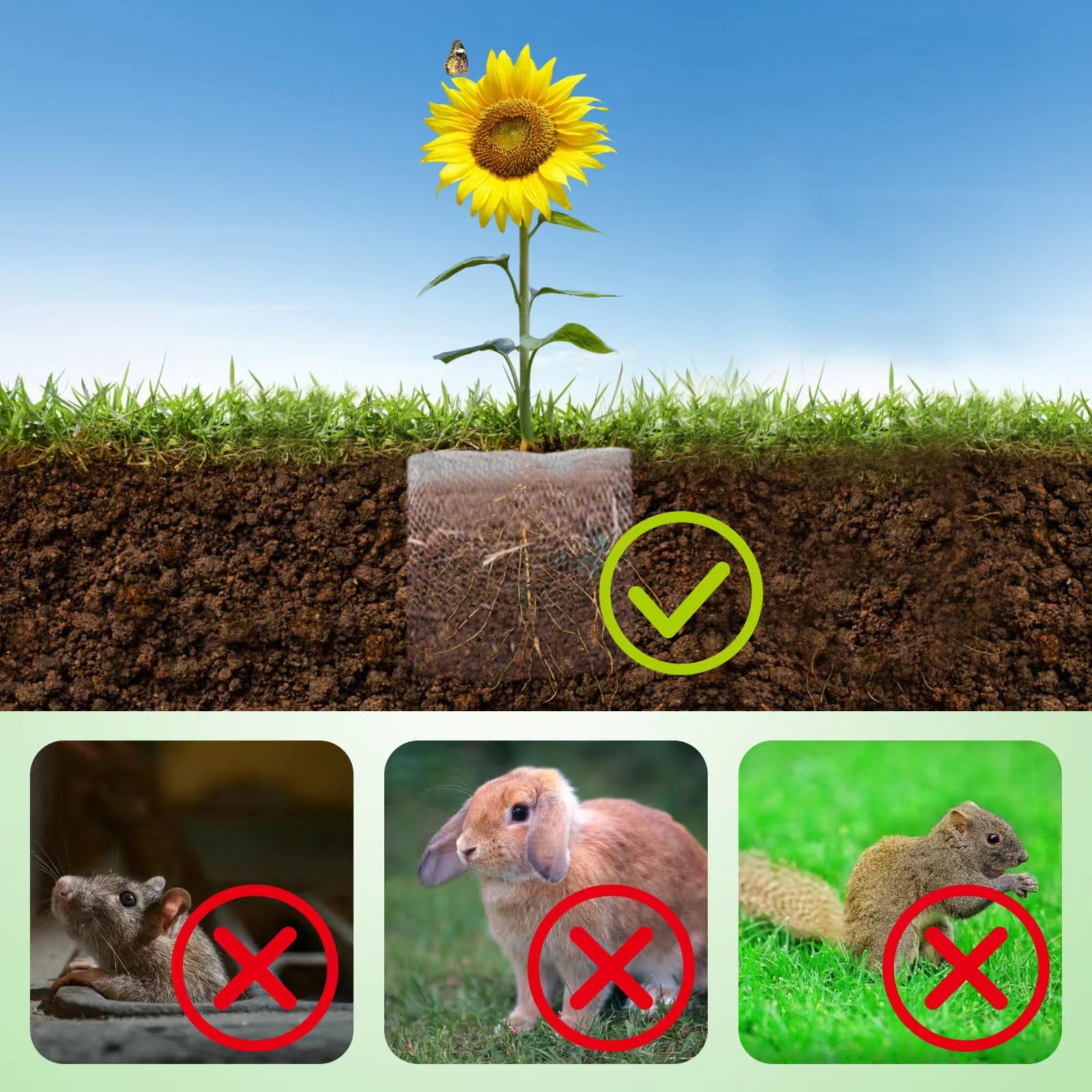 Foyego 24x24 inch root guard demonstrates easy installation around a root ball.