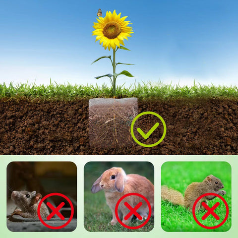 Foyego 24x24 inch root guard demonstrates easy installation around a root ball.