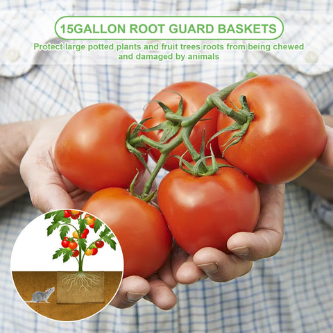 Foyego basket protects plant roots from pests while allowing soil airflow.