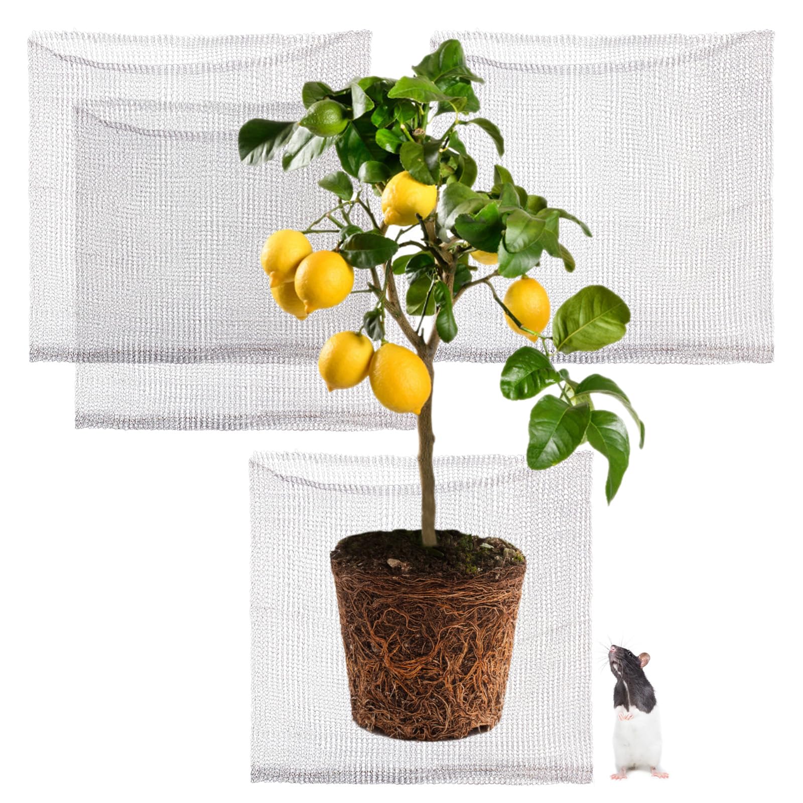 Foyego root guard basket 4-pack ready for garden installation to deter underground pests.