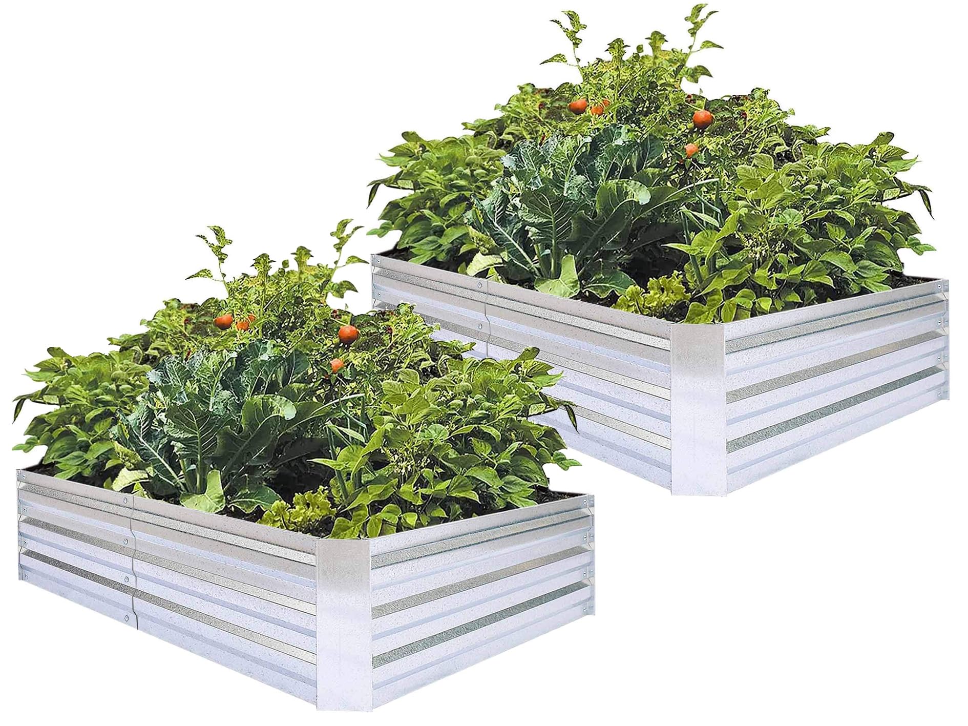 FOYUEE galvanized raised bed 6x3 highlights generous planting space.