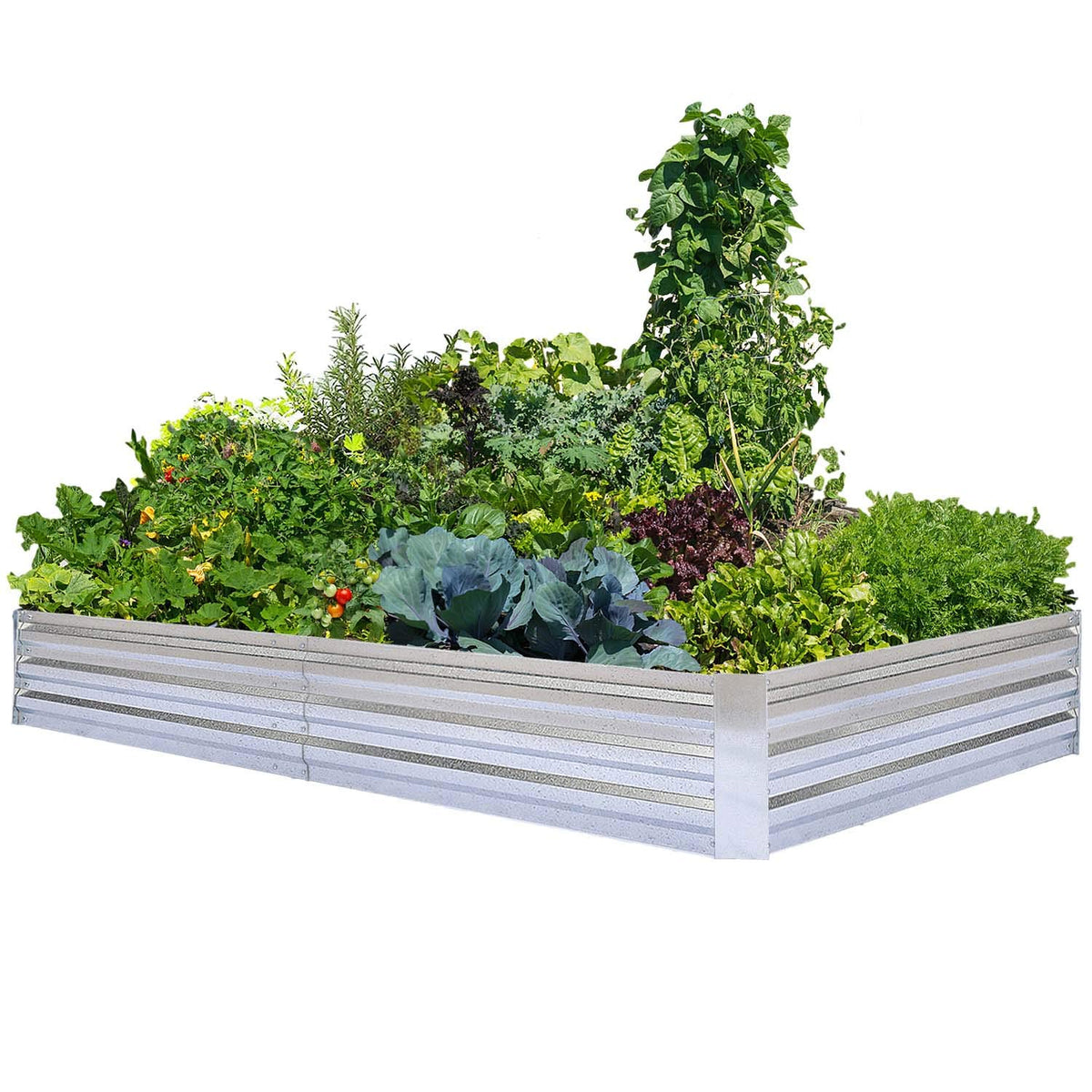 FOYUEE galvanized raised garden bed side view showing large planting area and scale