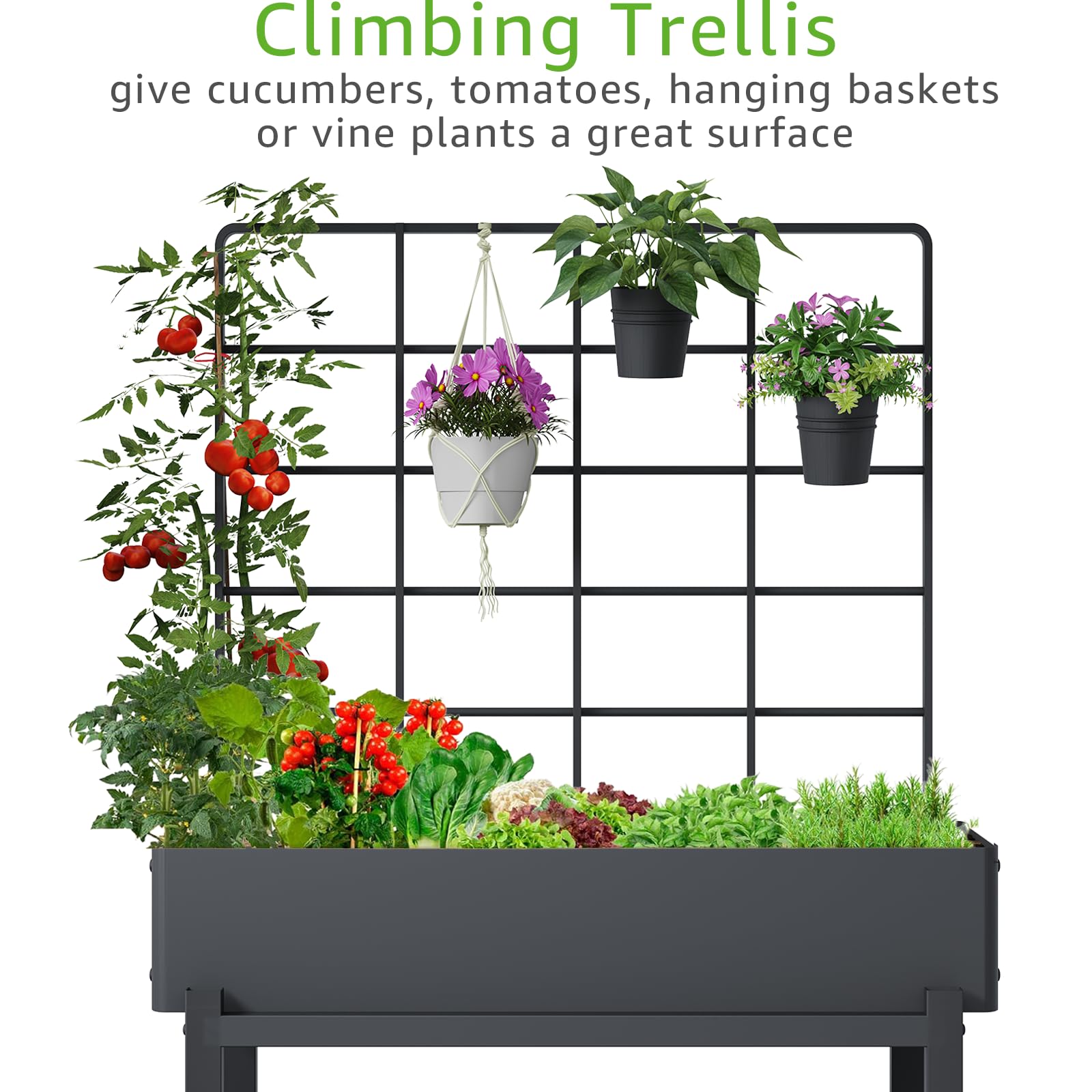 FOYUEE 26-inch trellis supports climbing plants for a compact vertical garden.