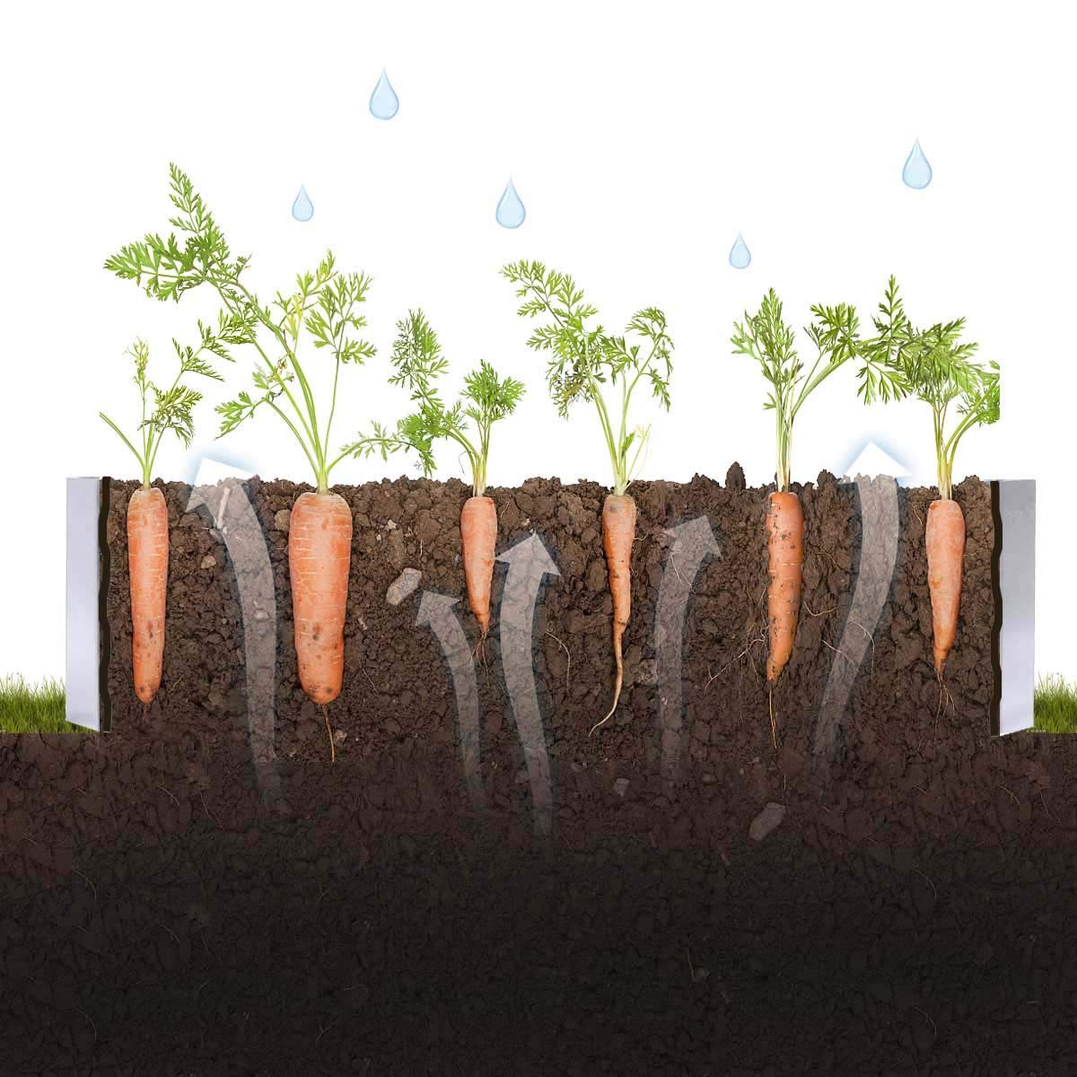FOYUEE two-pack raised beds enable multiple planting zones.