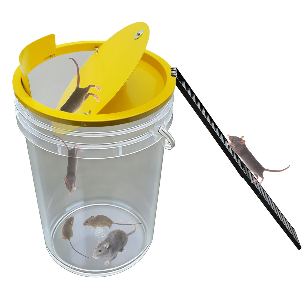 FPXVG bucket lid mouse trap in metal for durable, reusable pest control indoors and outdoors.