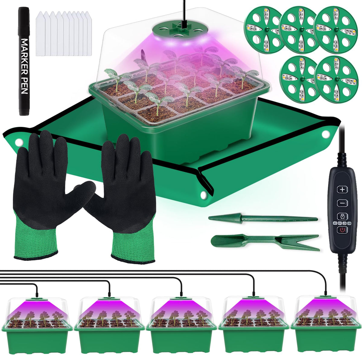 Framokoko seed tray 60 cells setup for indoor germination.