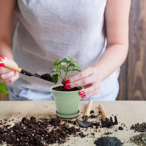 Frcctre durable plastic pots for long-lasting plant displays