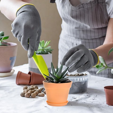 Frcctre windowsill decor with colorful planters to brighten spaces