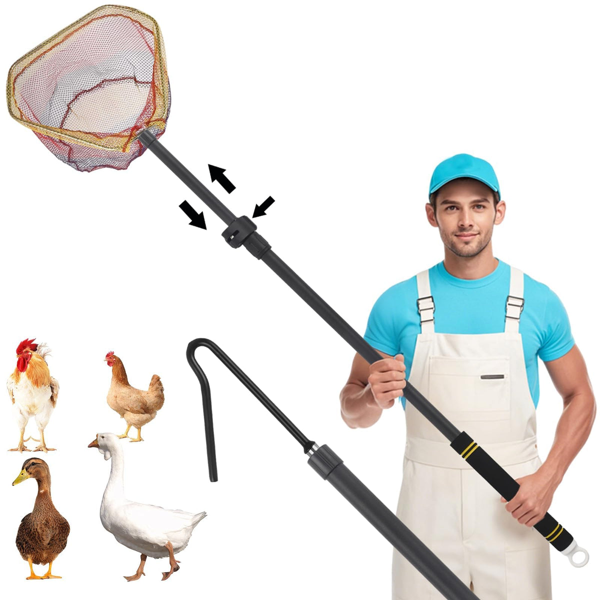 Frebuta chicken catching net with telescopic pole extended to reach birds safely.