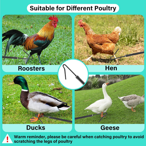 Frebuta extended reach enables reaching birds without bending.