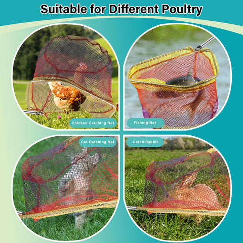 Frebuta safe outdoor use for poultry and small animals.