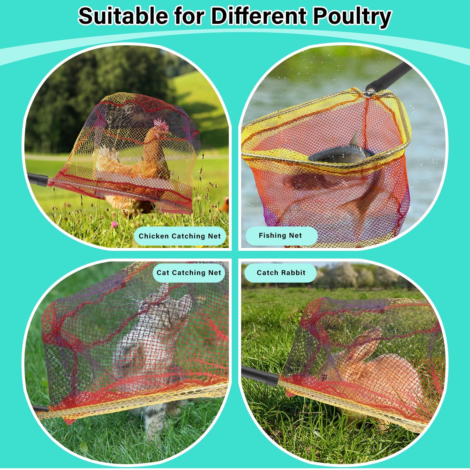 Frebuta outdoor-use design helps reach high feeders and roosts.