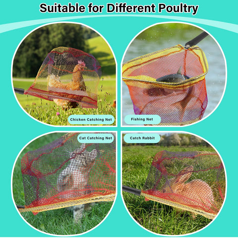 Frebuta outdoor-use design helps reach high feeders and roosts.