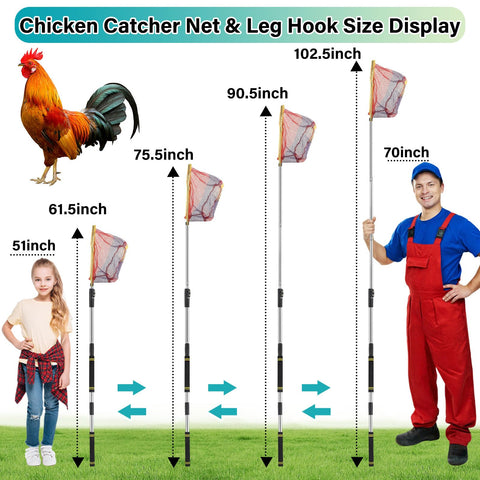 Frebuta rubber-protected hook prevents poultry injuries during handling.