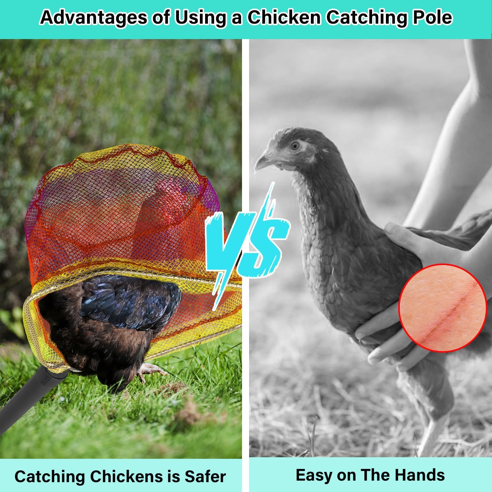Frebuta warm tips emphasize safe, gentle poultry handling.