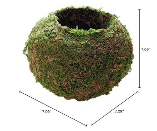 FRECI moss pot suitable for home gardening and decorative displays