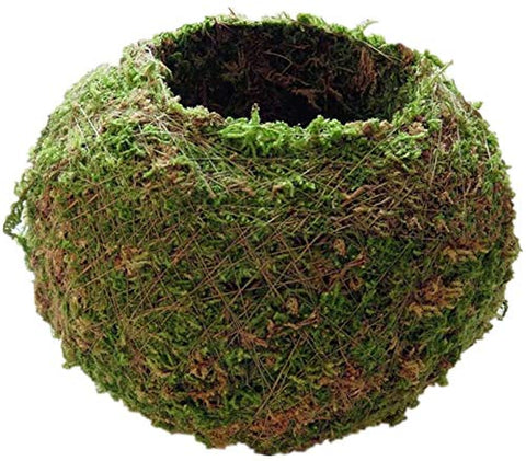 FRECI moss ball pot 18cm interior view showing inner space