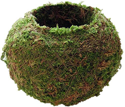 FRECI moss ball pot 18cm exterior view for home and balcony display