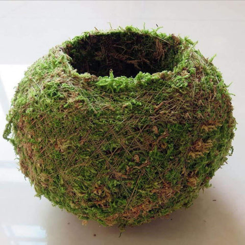 FRECI natural kokedama vase with bird-nest style planter