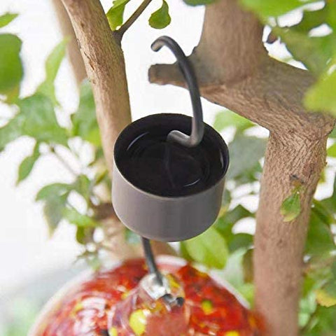 Freeasy feeder with ant moat on hook prevents nectar contamination.