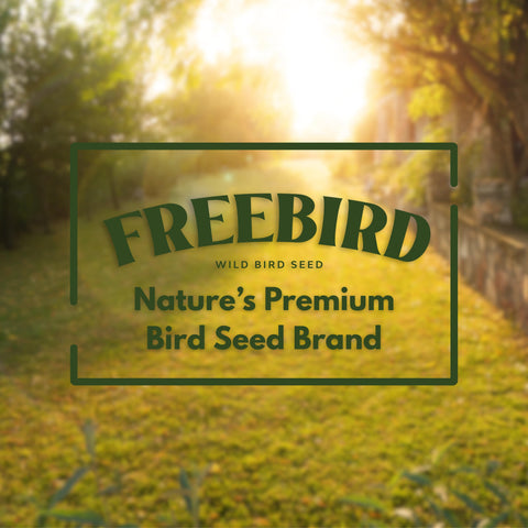 FREEBIRD backyard birds in action with no shells