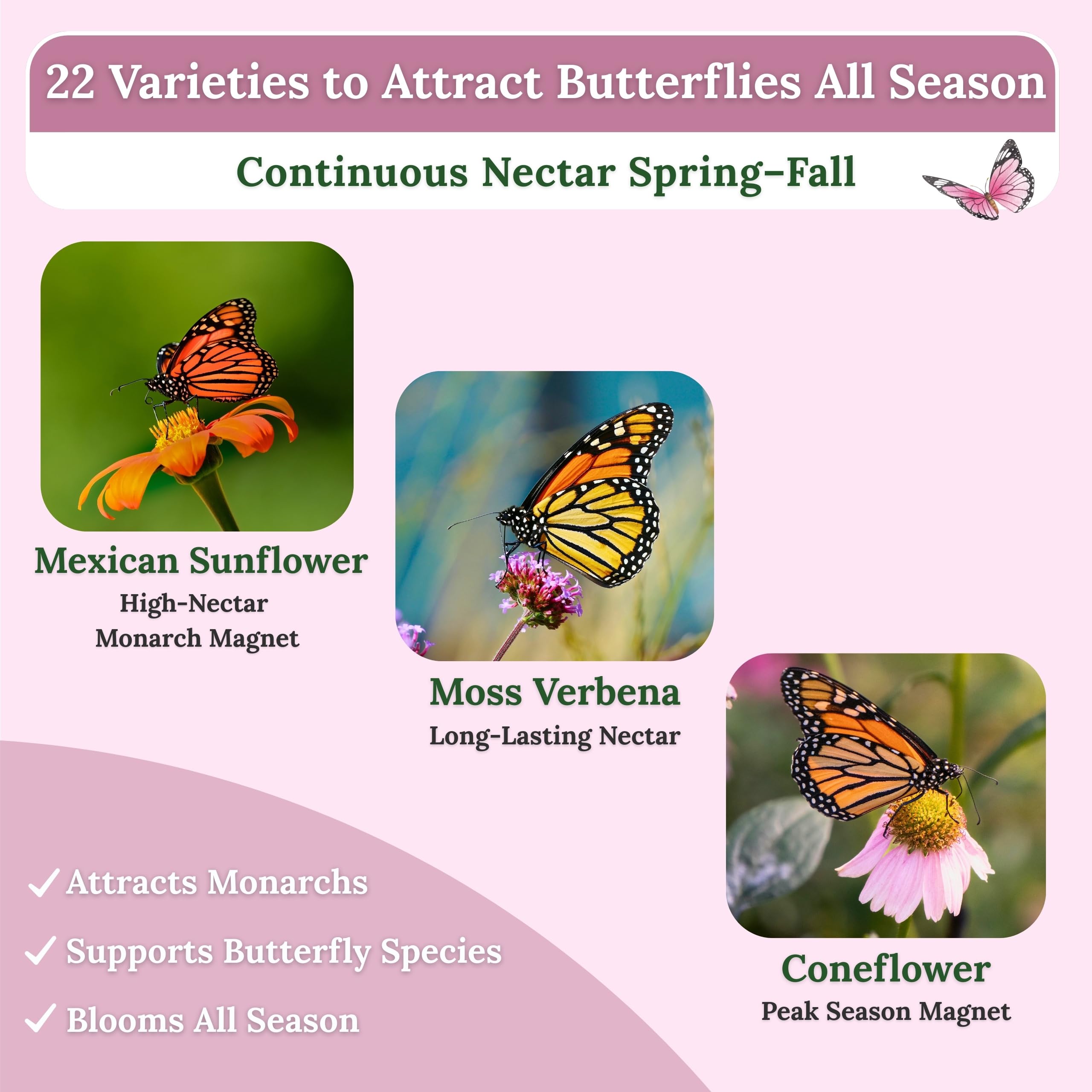 FREEBIRD Wild Bird Seed wildflower blooms attract birds and butterflies.
