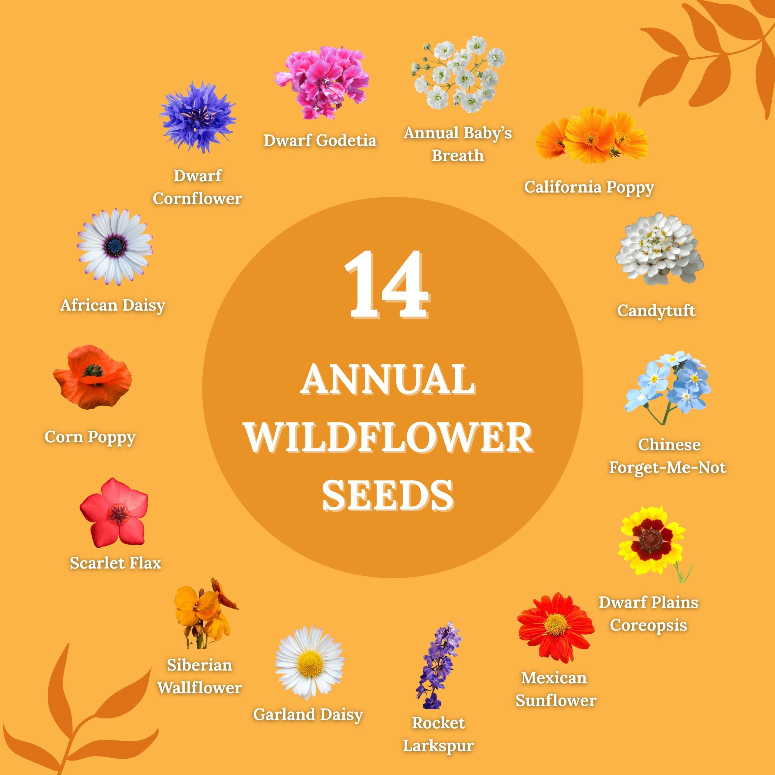 FREEBIRD Wild Bird Seed seed bag with planting guide visible.