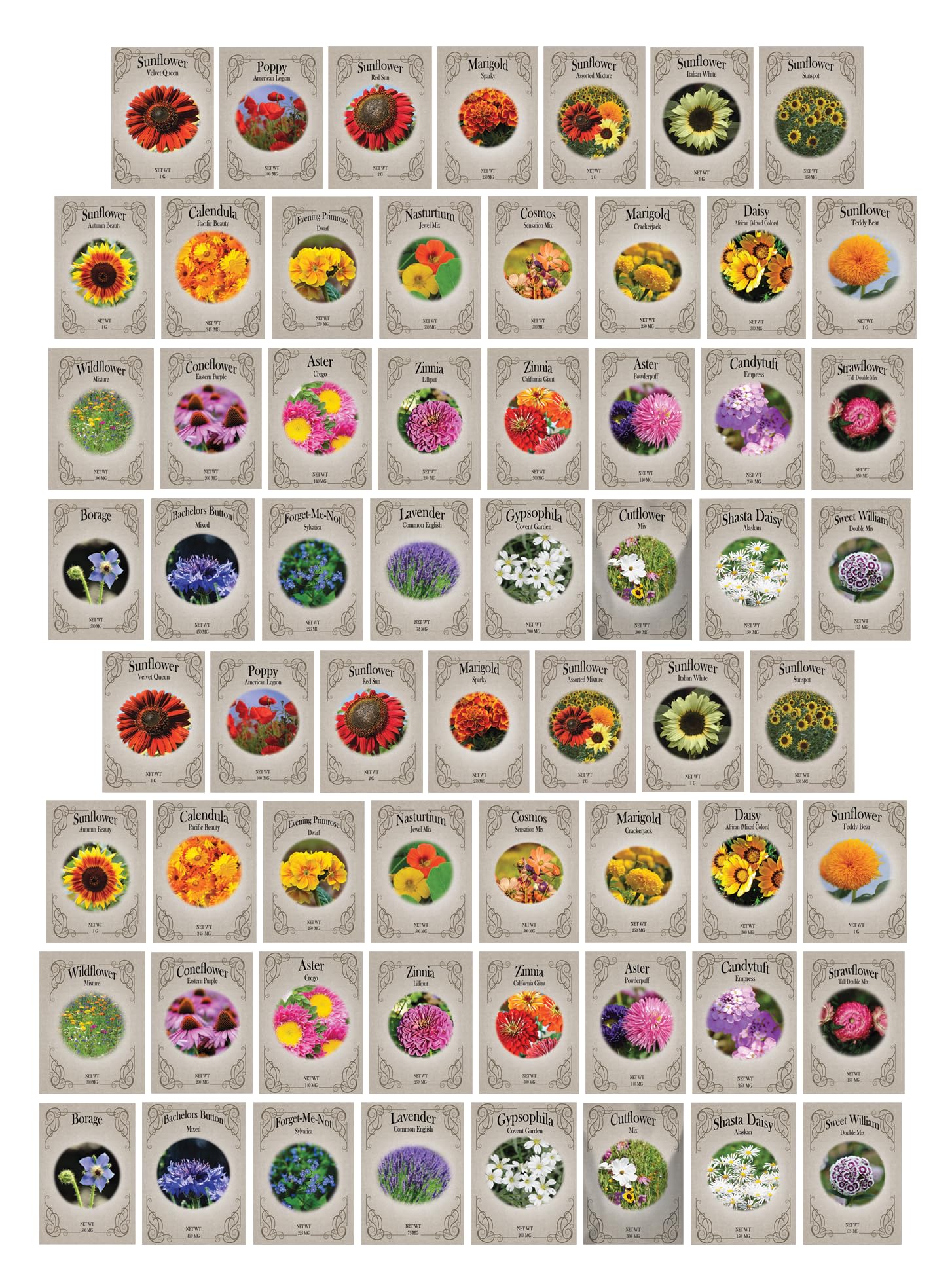 Freedom Farms 62-seed-packets-collection shows a diverse bloom mix for vibrant garden beds.