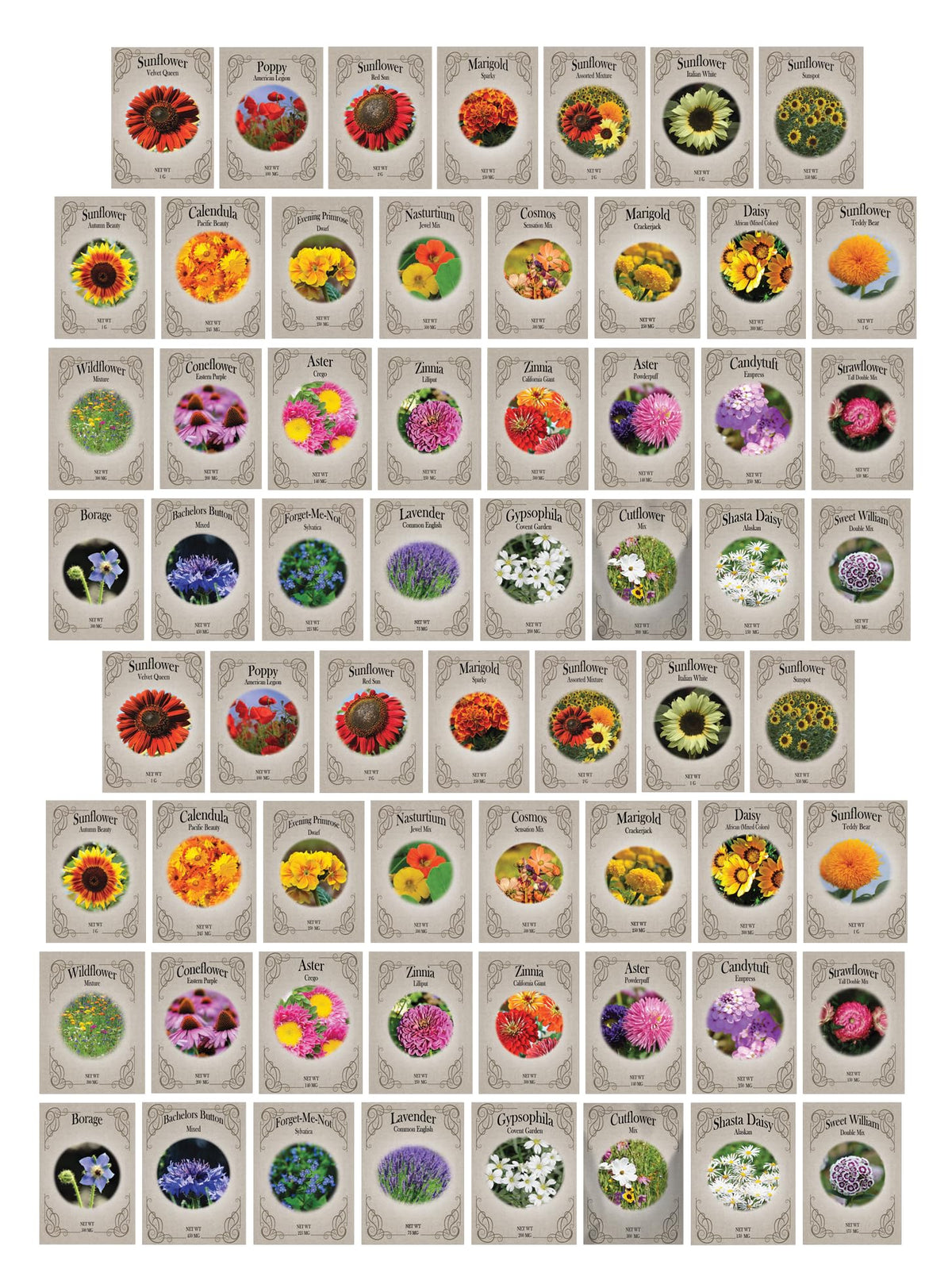 Freedom Farms 62-seed-packets-collection shows a diverse bloom mix for vibrant garden beds.