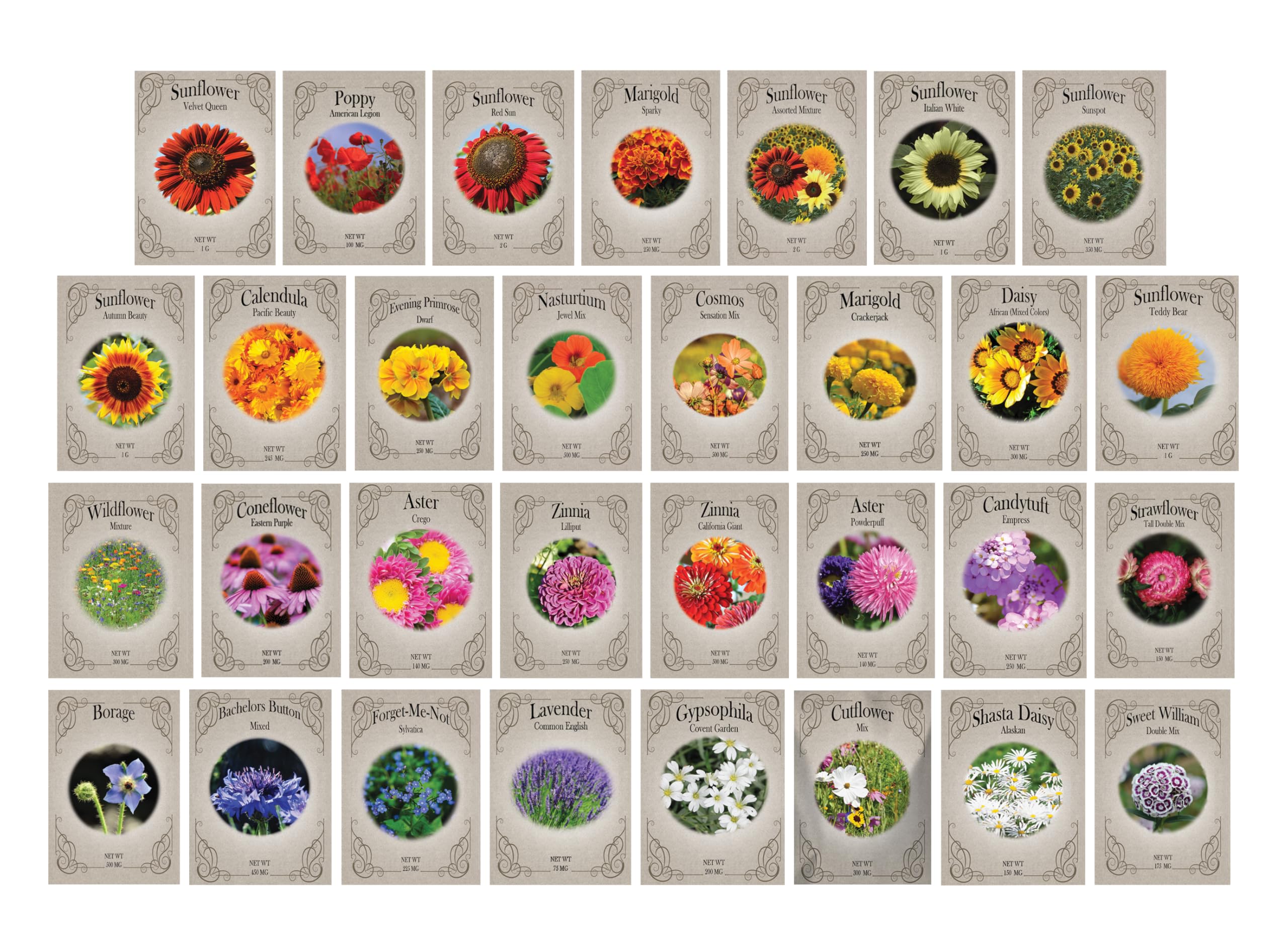 Freedom Farms diverse-flower-seeds highlights colorful blooms for seasonal containers and borders.