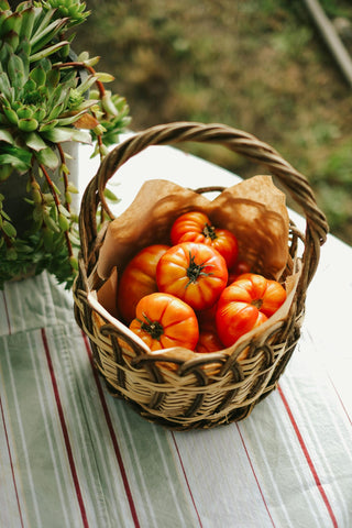 Freedom Farms heirloom corn seeds for sweet, garden-fresh kernels.