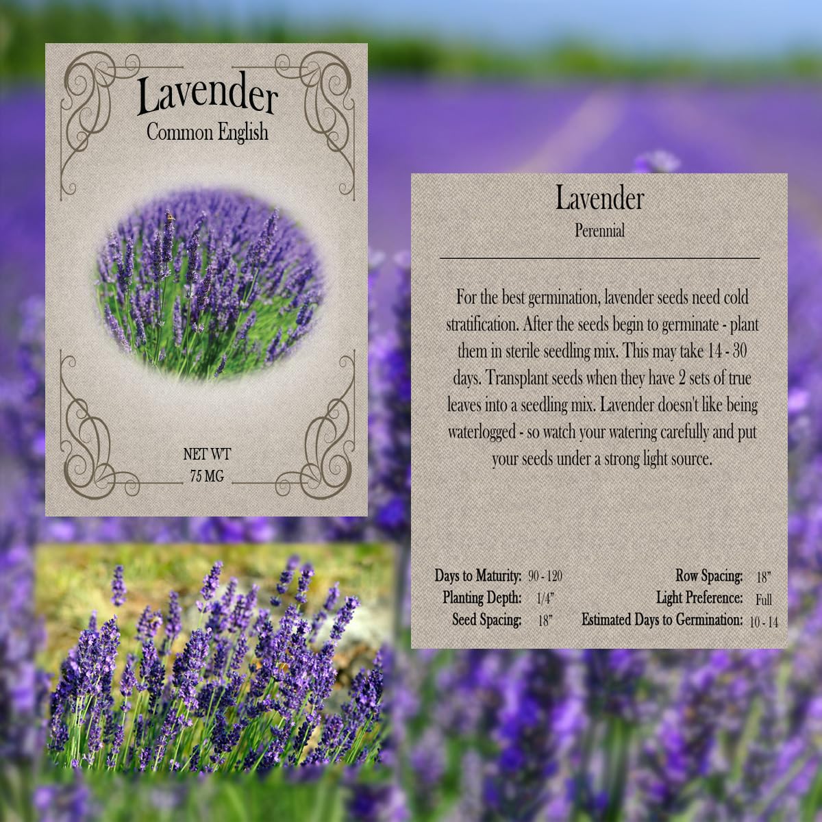 Freedom Farms rosemary seed pack image, fragrant herbs for balconies