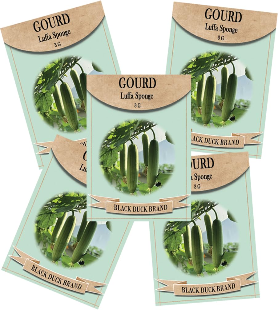 Freedom Farms luffa seeds bulk pack ready for planting and germination
