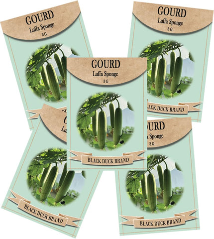 Freedom Farms luffa seeds bulk pack ready for planting and germination
