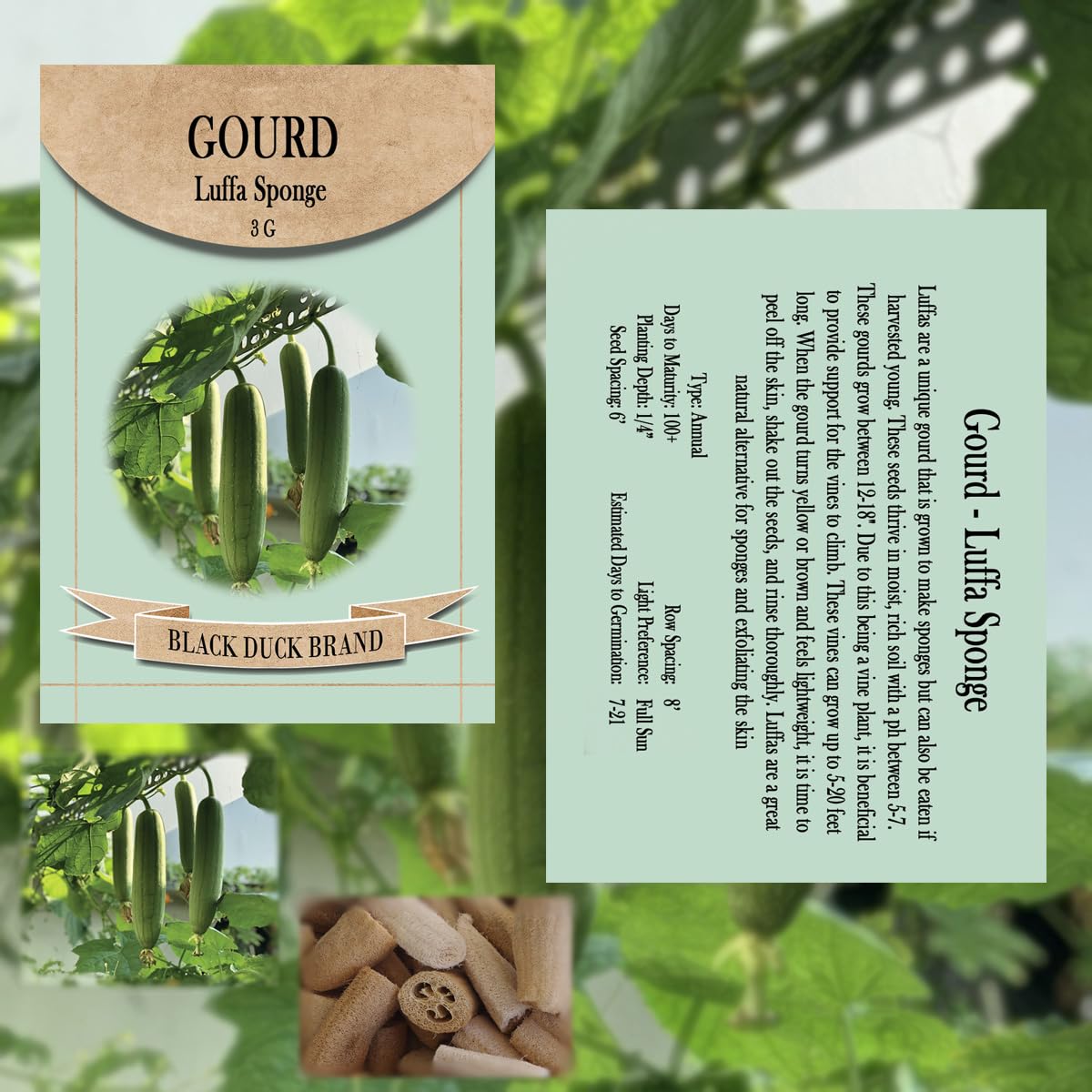 Freedom Farms heirloom luffa seeds showcasing non-GMO quality