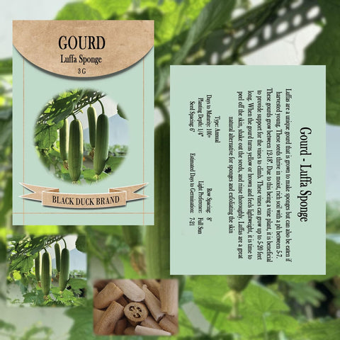 Freedom Farms heirloom luffa seeds showcasing non-GMO quality