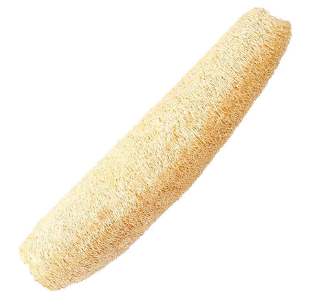 Freedom Farms non-GMO luffa seeds supporting sustainable sponges and edibles
