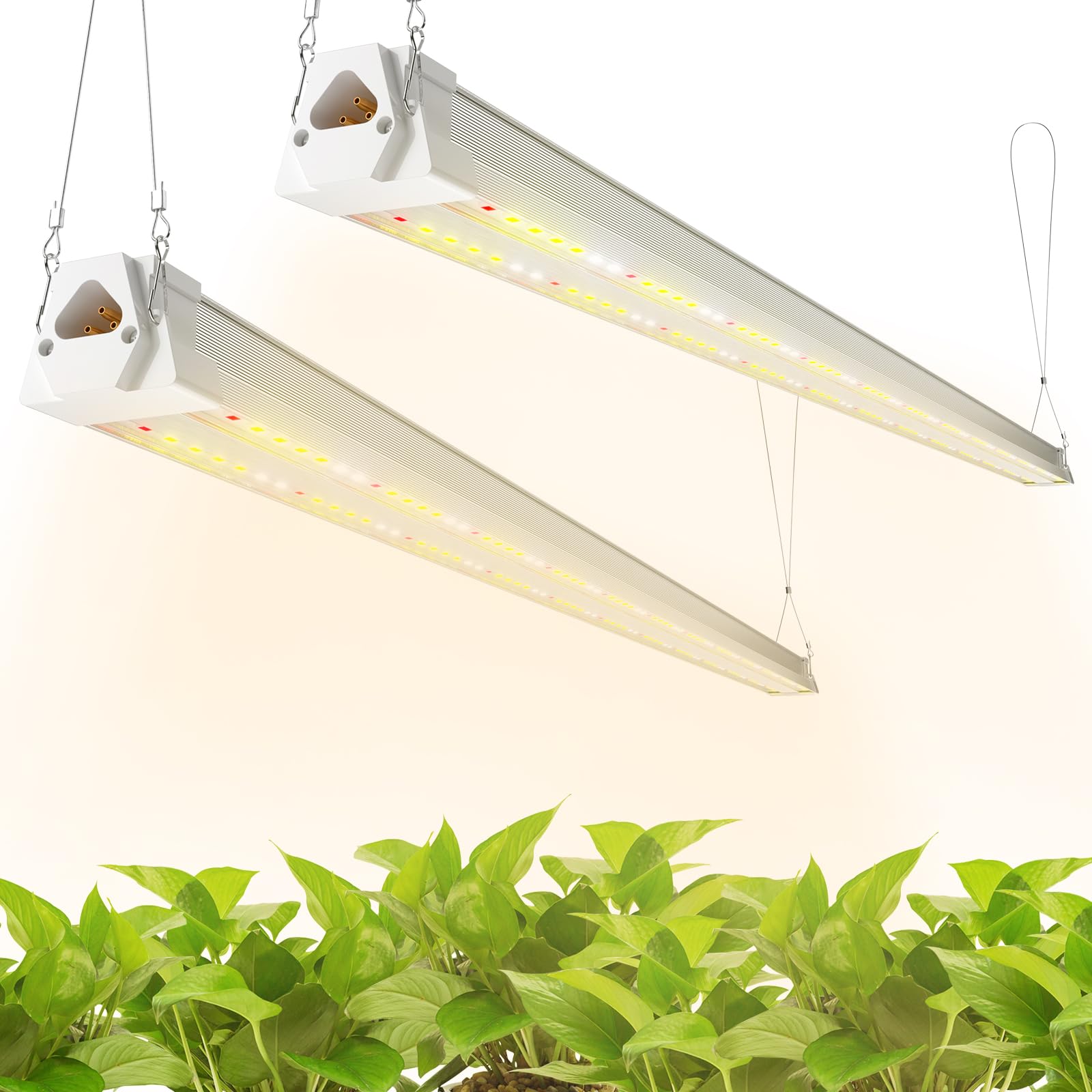 freelicht 2-pack 4ft led grow light hanging setup for easy indoor plant coverage.
