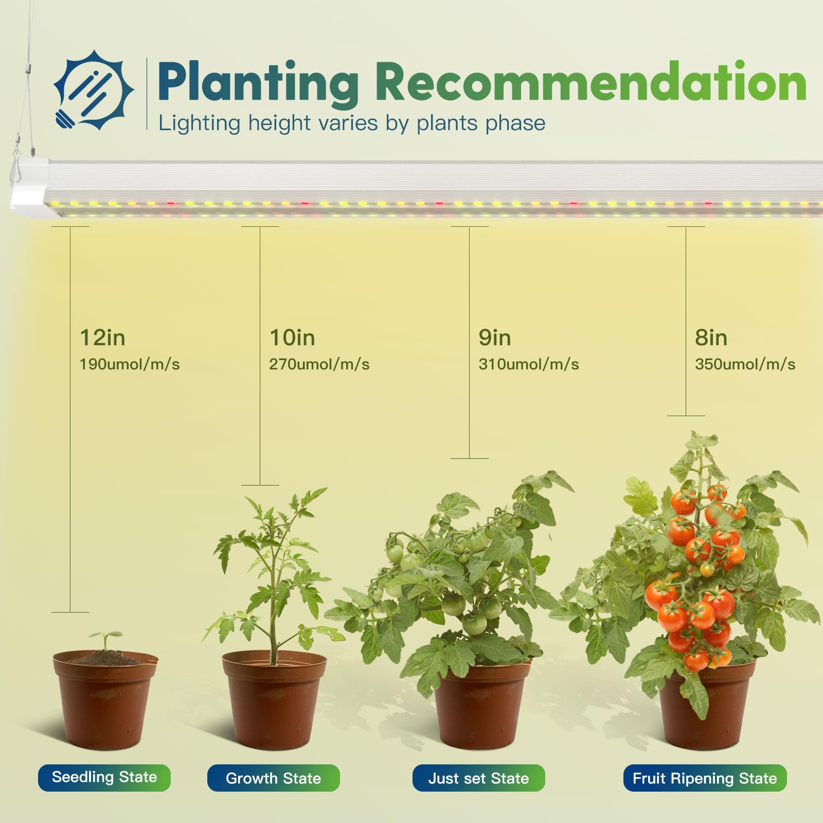 freelicht 2-pack 4ft led grow light mounting for flexible indoor placement.