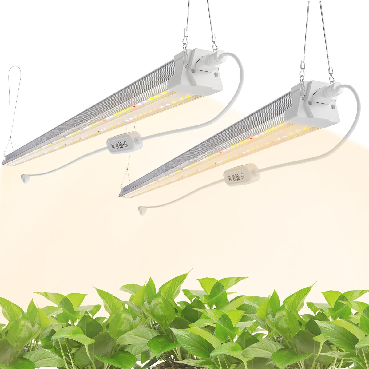 FREELICHT 2-pack grow light with timer for consistent indoor plant care.